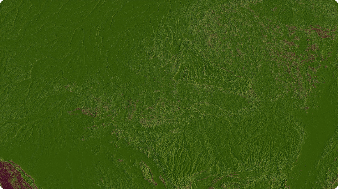 Elevation