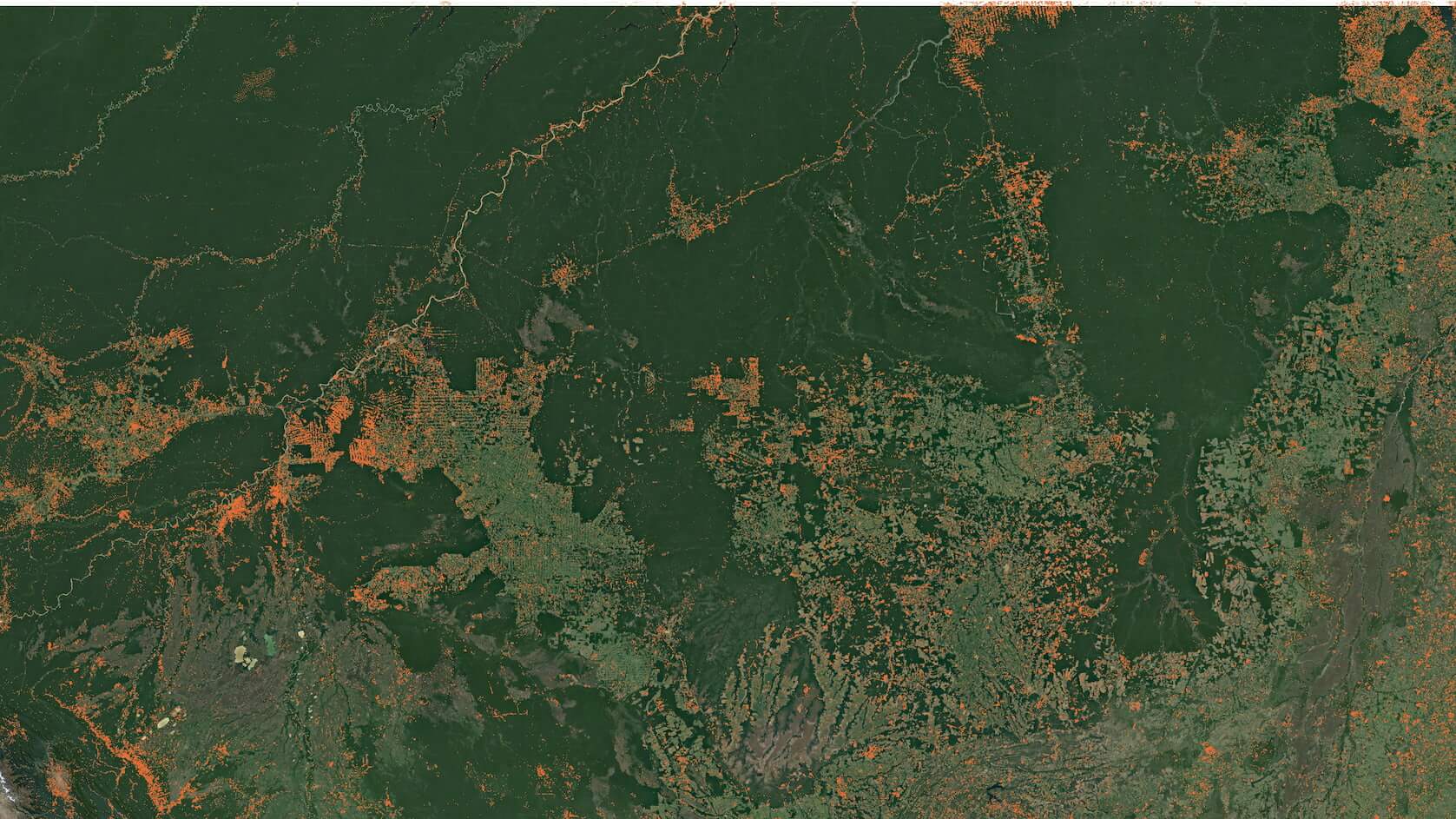 Forest loss